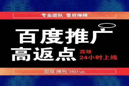 成功运用SEM服务实现品牌推广的案例分析