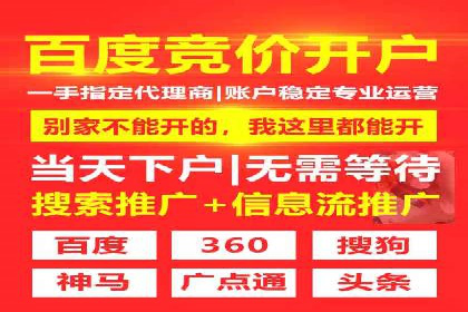 推广竞价策略优化：借鉴成功案例实现高效转化